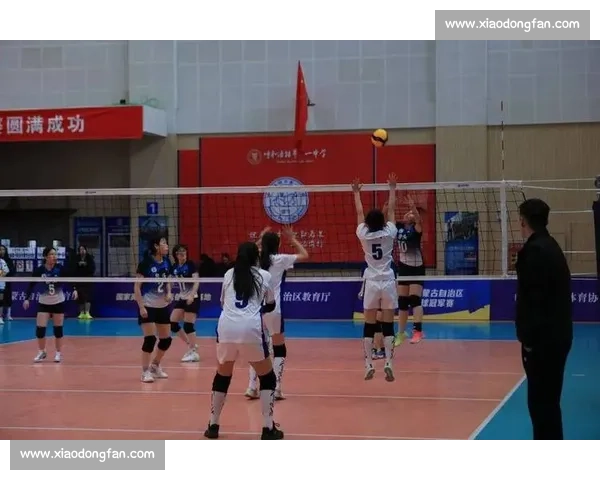 激情绽放赛场风云女子排球巅峰对决荣耀之夜冠军荣耀梦想激情飞扬盛典 - 副本