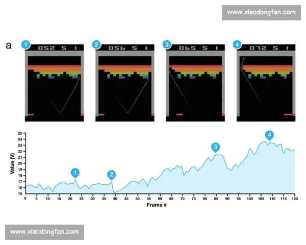 焦点对决引爆全场体育赛中最新资讯全面解析与精彩瞬间深度盘点纵览 - 副本