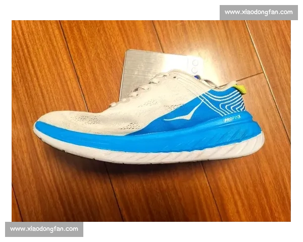 碳板跑鞋技术革新与竞速表现全面解析指南及训练选择策略深度剖析 - 副本 碳板跑鞋技术革新与竞速表现全面解析指南及训练选择策略深度剖析 - 副本