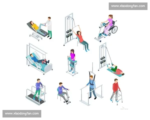 科学系统的半月板损伤康复训练与功能重建指南全面策略解析实践篇