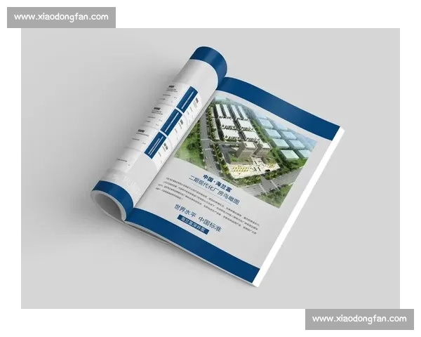 积分形式对经济发展与社会稳定的影响分析及其未来趋势探讨 - 副本 - 副本