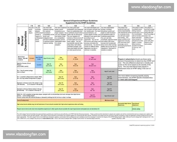 网球技术评分体系构建与实战能力提升路径研究及其应用效果综合分析 - 副本 - 副本