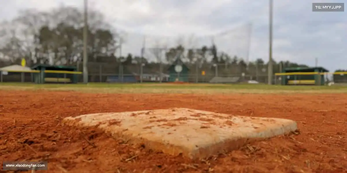 我们的核心竞争力